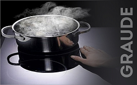 Чем отличается электрическая варочная панель от индукционной